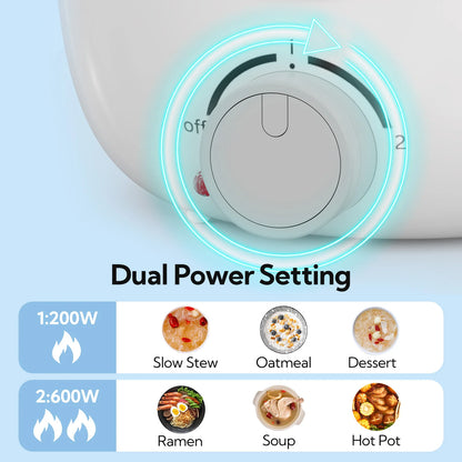 Multi-functional electric cooking pot (small household electric hot pot)